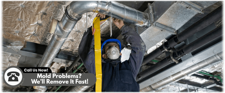 Air Duct Mold Removal in Houston