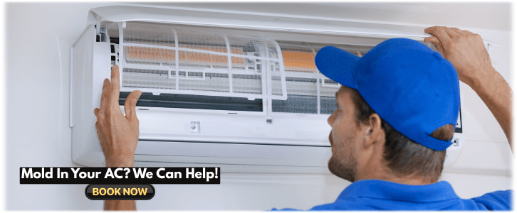 HVAC Mold Removal Houston